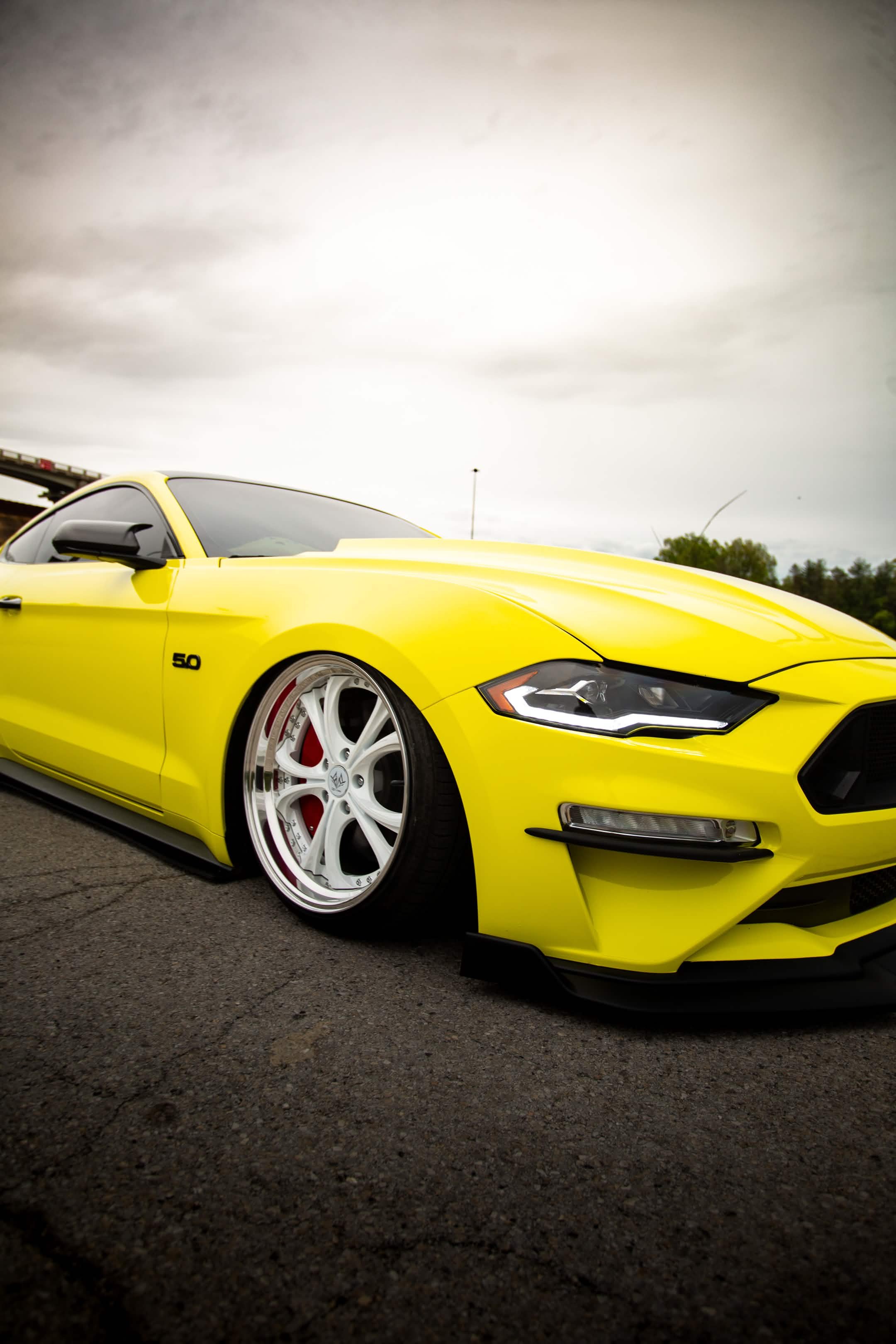 Ford Mustang GT 5.0 low detail shot — Welchiani Media Indianapolis